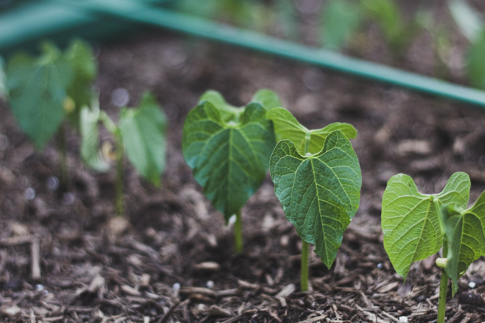 Why Traditional Collateral Fails Smallholders